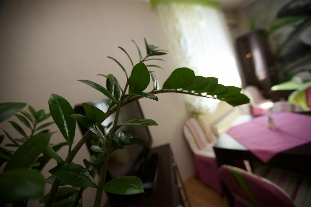 Гостиница Вояж Парк Москва-147