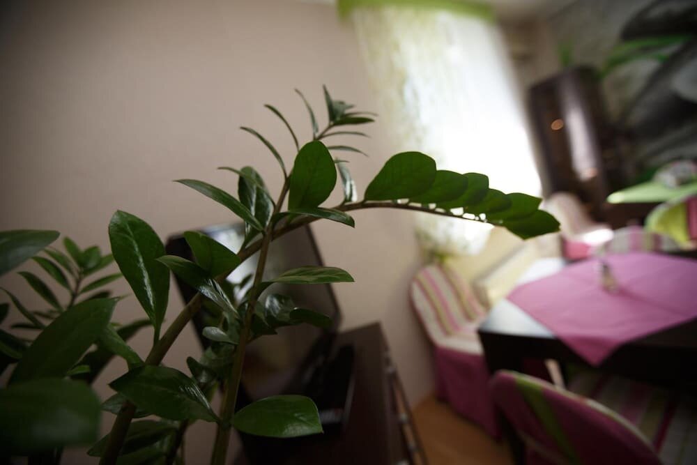 Гостиница Вояж Парк Москва-32