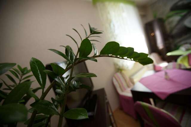 Гостиница Вояж Парк Москва-146